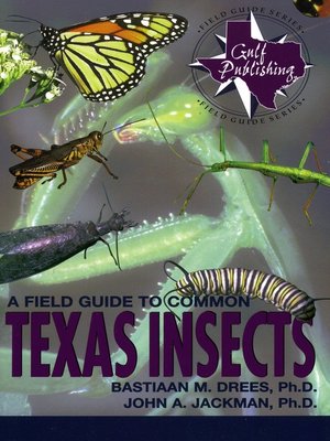 cover image of A Field Guide to Common Texas Insects